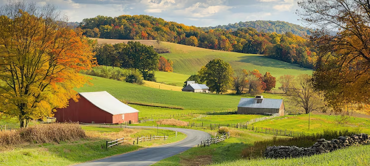 Farm preview